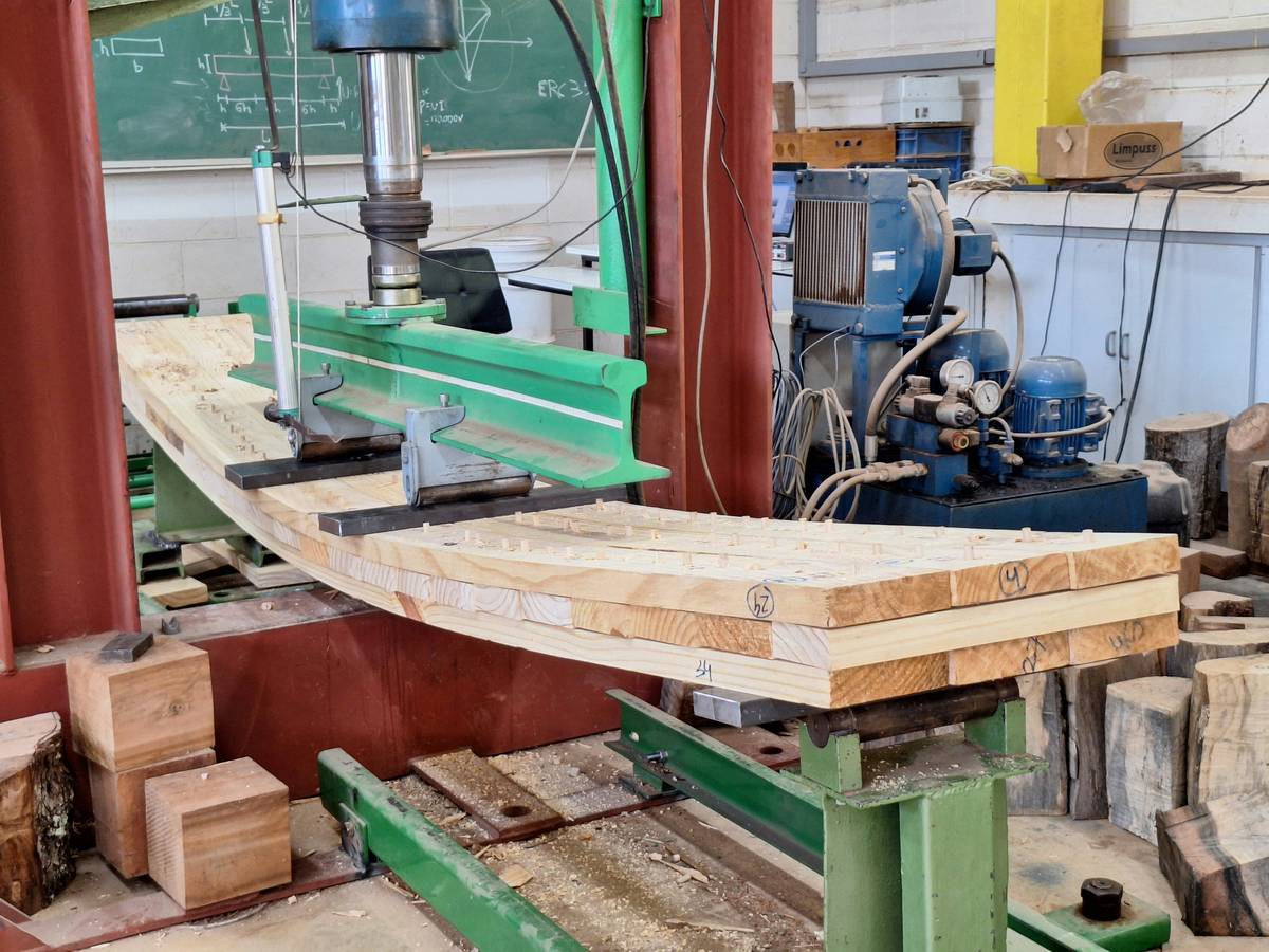 clamp and tool guide showing assorted woodworking clamps aligned on a workbench